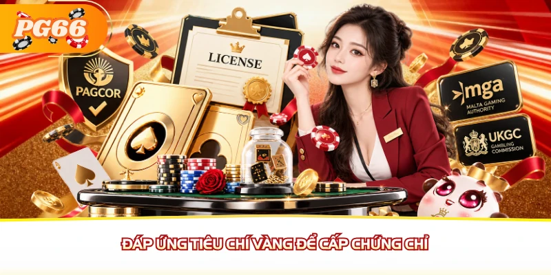Đáp ứng tiêu chí vàng để cấp chứng chỉ